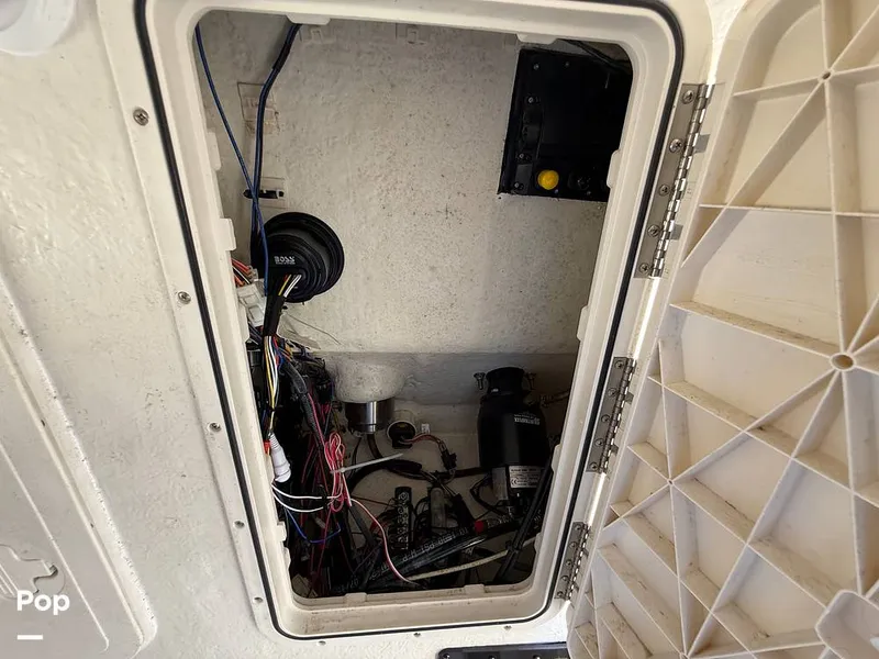 Slide: The Image of Sailfish 242 CC 2023 - 15319968