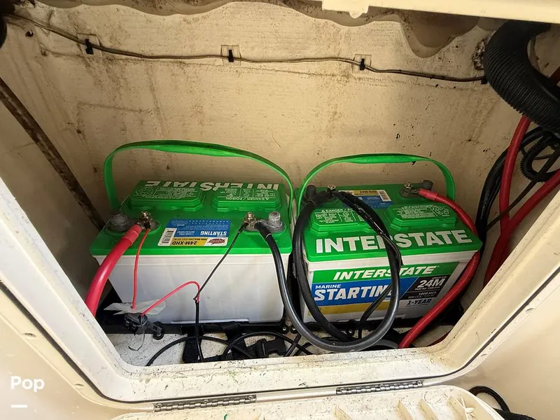 Slide: The Image of Sailfish 242 CC 2023 - 15319970