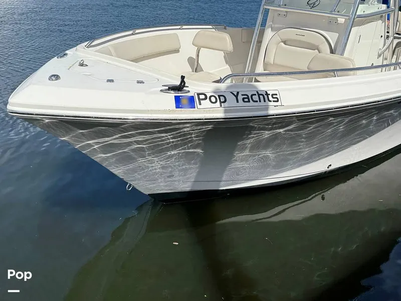 Slide: The Image of Sailfish 242 CC 2023 - 15319972