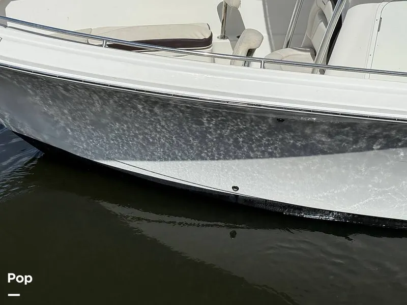 Slide: The Image of Sailfish 242 CC 2023 - 15319973