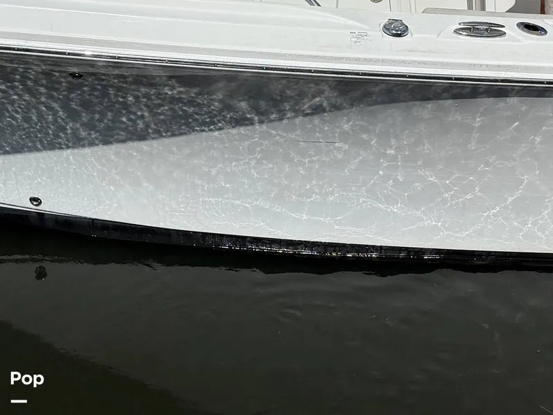 Slide: The Image of Sailfish 242 CC 2023 - 15319974