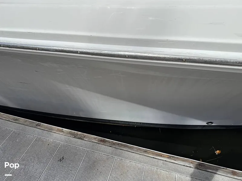 Slide: The Image of Sailfish 242 CC 2023 - 15319979