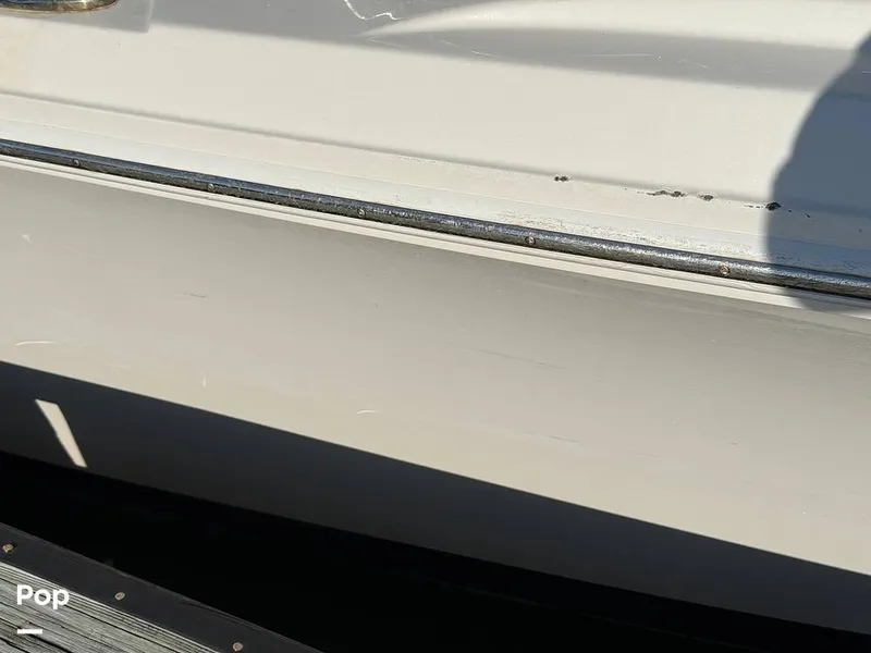 Slide: The Image of Sailfish 242 CC 2023 - 15369914