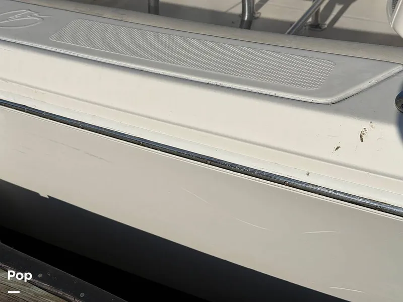 Slide: The Image of Sailfish 242 CC 2023 - 15369915