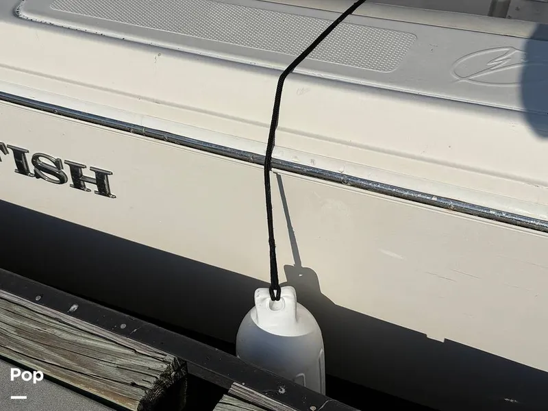 Slide: The Image of Sailfish 242 CC 2023 - 15369916