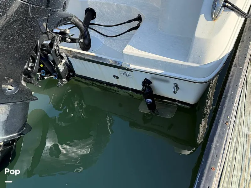 Slide: The Image of Sailfish 242 CC 2023 - 15369919