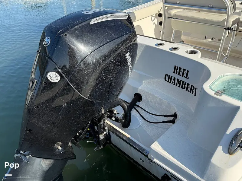 Slide: The Image of Sailfish 242 CC 2023 - 15369920