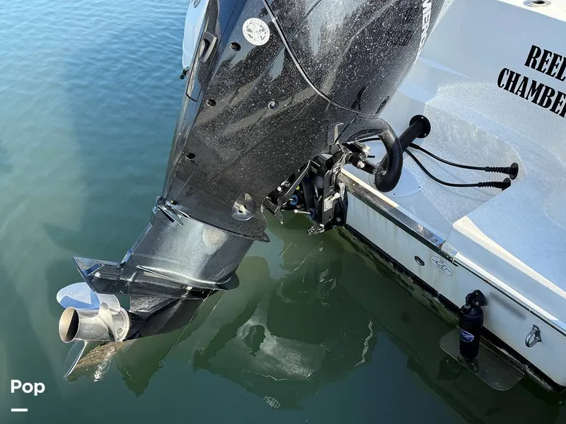 Slide: The Image of Sailfish 242 CC 2023 - 15369921