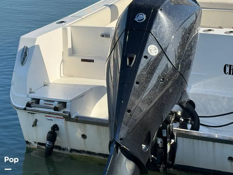 Slide: The Image of Sailfish 242 CC 2023 - 15369922