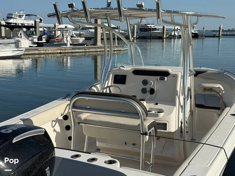 Slide: The Image of Sailfish 242 CC 2023 - 15371999