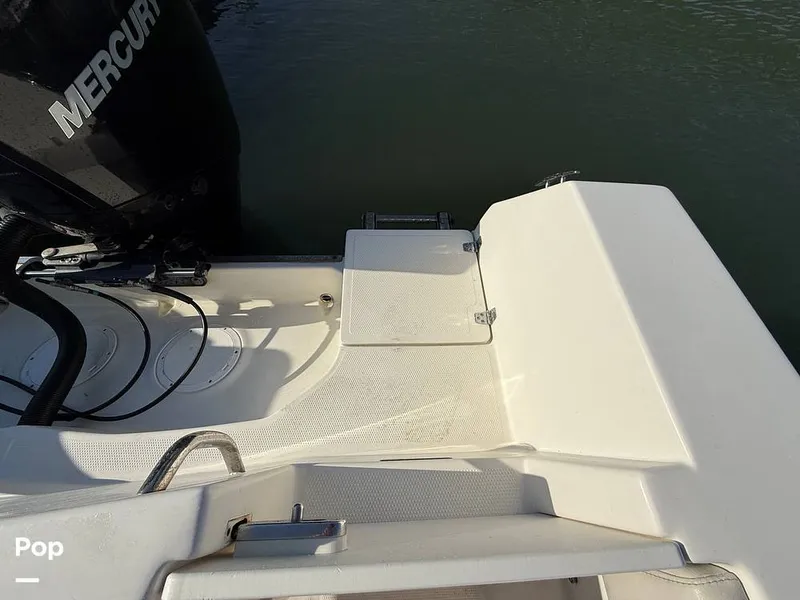 Slide: The Image of Sailfish 242 CC 2023 - 15369844