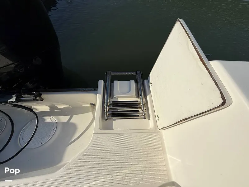 Slide: The Image of Sailfish 242 CC 2023 - 15369845