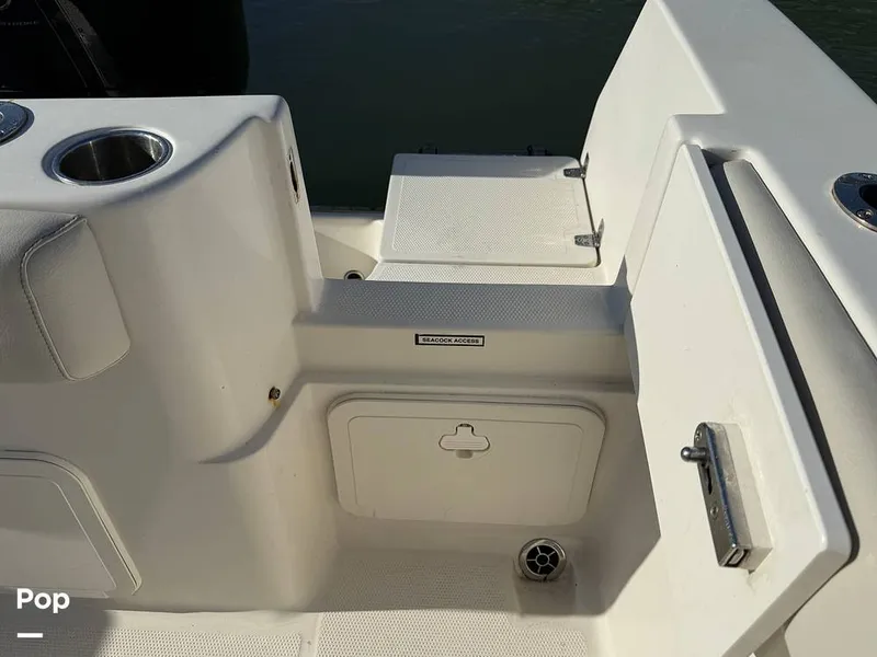 Slide: The Image of Sailfish 242 CC 2023 - 15369851