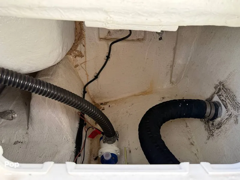 Slide: The Image of Sailfish 242 CC 2023 - 15369853