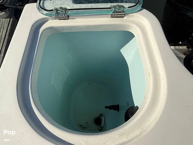 Slide: The Image of Sailfish 242 CC 2023 - 15369857