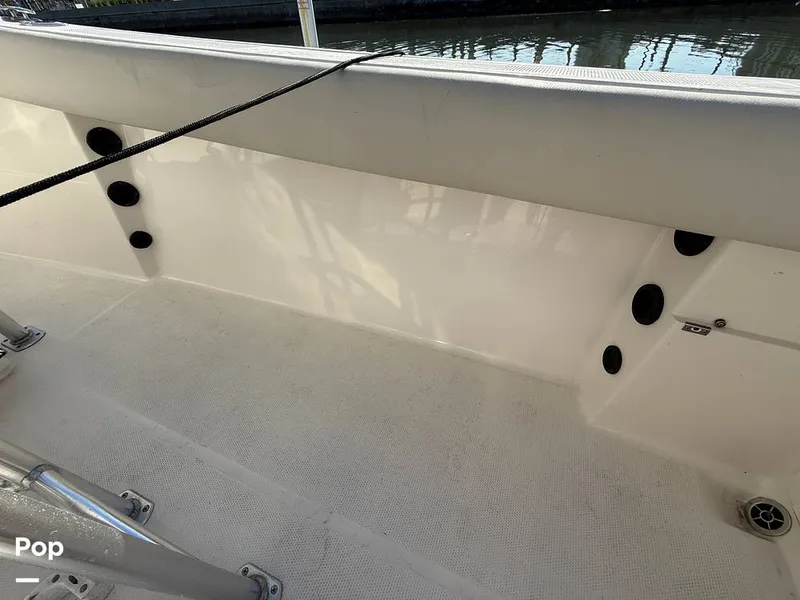 Slide: The Image of Sailfish 242 CC 2023 - 15369860