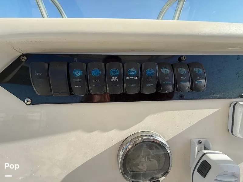 Slide: The Image of Sailfish 242 CC 2023 - 15369869