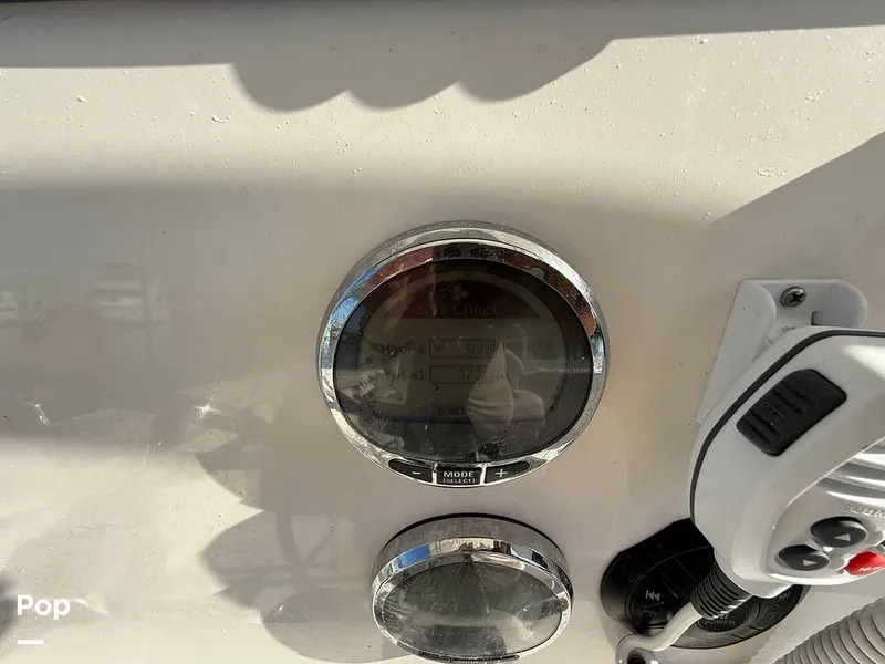 Slide: The Image of Sailfish 242 CC 2023 - 15369871