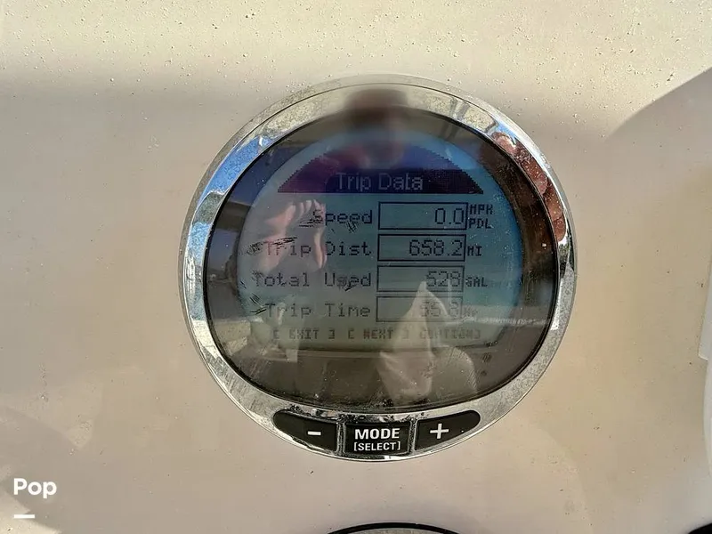 Slide: The Image of Sailfish 242 CC 2023 - 15369875