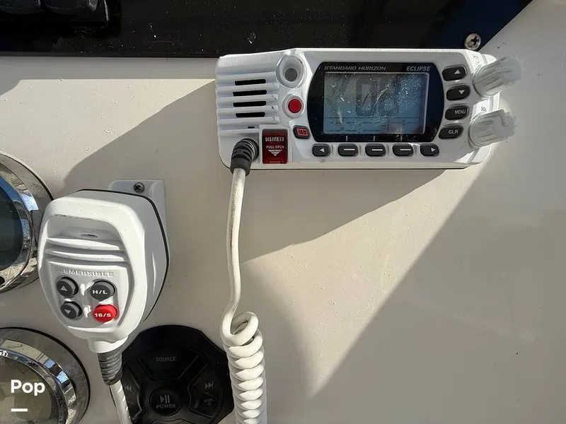 Slide: The Image of Sailfish 242 CC 2023 - 15369878