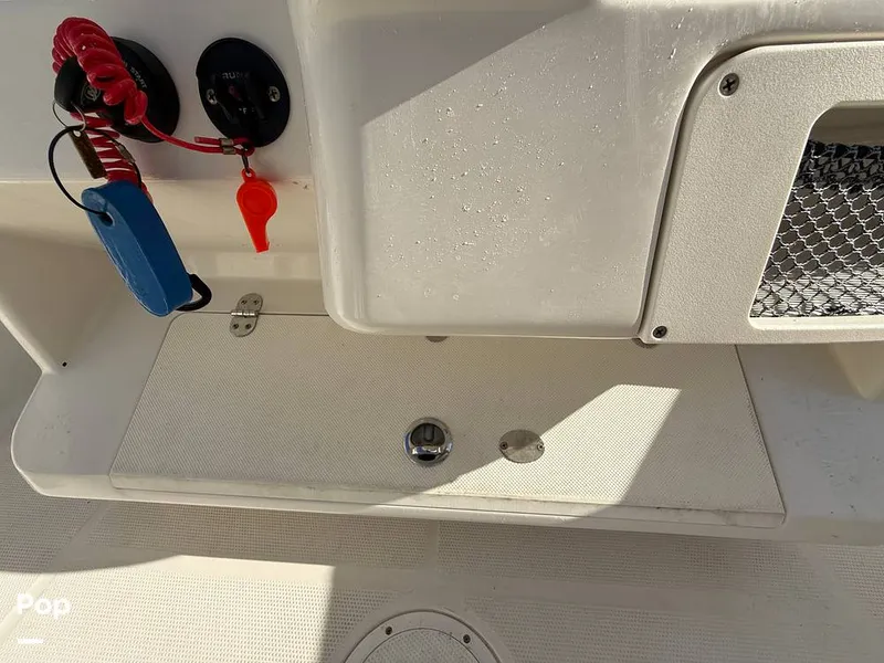 Slide: The Image of Sailfish 242 CC 2023 - 15369883