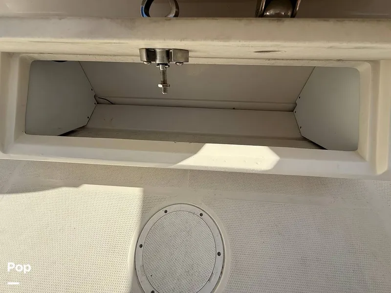 Slide: The Image of Sailfish 242 CC 2023 - 15369884