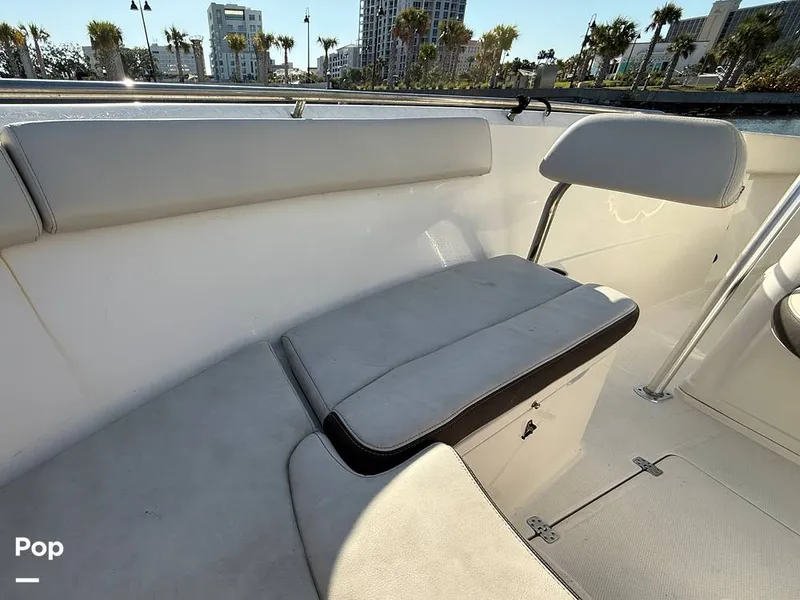 Slide: The Image of Sailfish 242 CC 2023 - 15369886