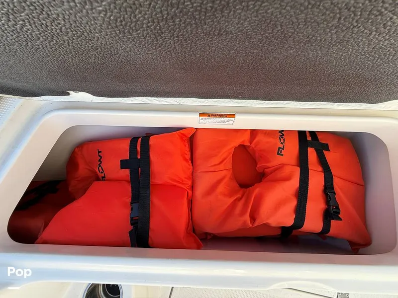 Slide: The Image of Sailfish 242 CC 2023 - 15369887