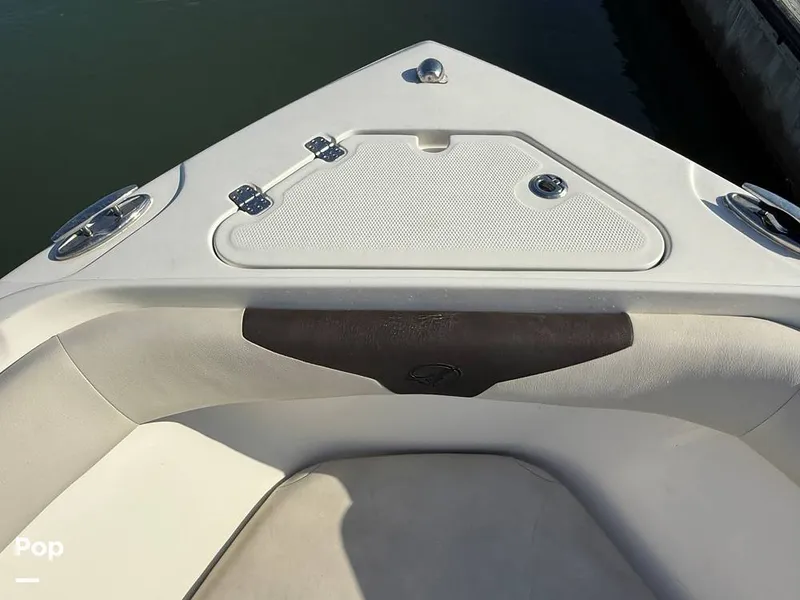 Slide: The Image of Sailfish 242 CC 2023 - 15369888