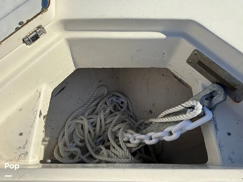 Slide: The Image of Sailfish 242 CC 2023 - 15369889