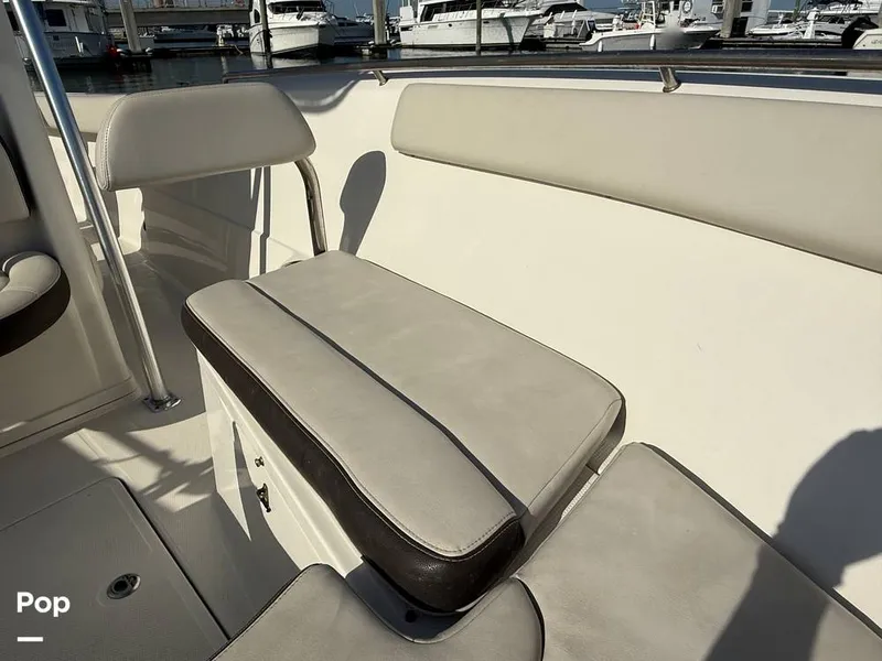 Slide: The Image of Sailfish 242 CC 2023 - 15369890