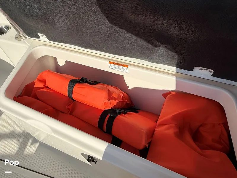 Slide: The Image of Sailfish 242 CC 2023 - 15369891