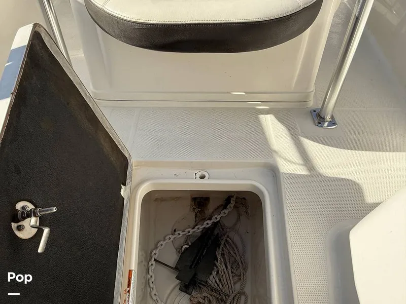 Slide: The Image of Sailfish 242 CC 2023 - 15369894