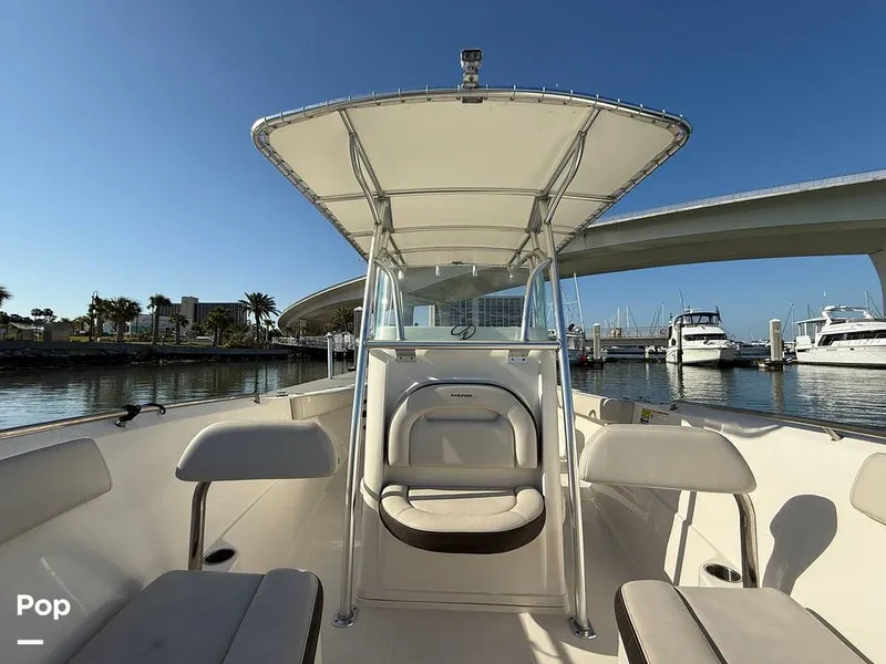 Slide: The Image of Sailfish 242 CC 2023 - 15369895