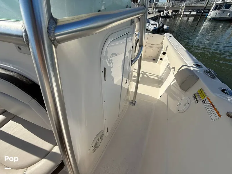 Slide: The Image of Sailfish 242 CC 2023 - 15369896