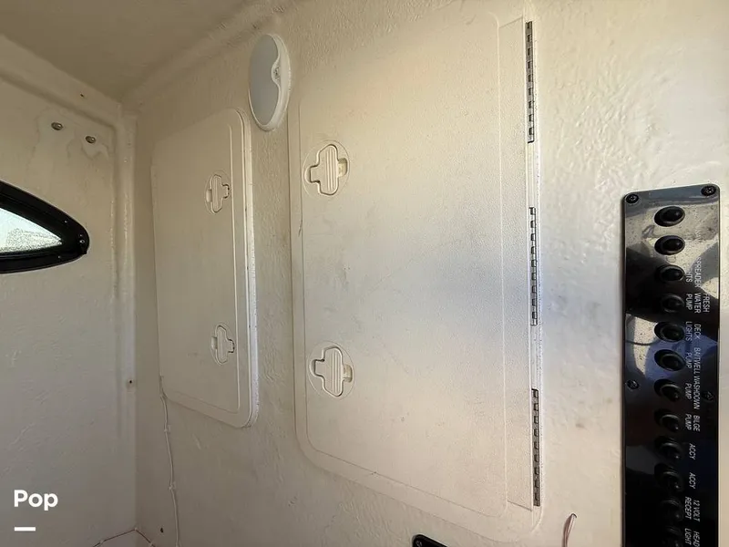 Slide: The Image of Sailfish 242 CC 2023 - 15369900