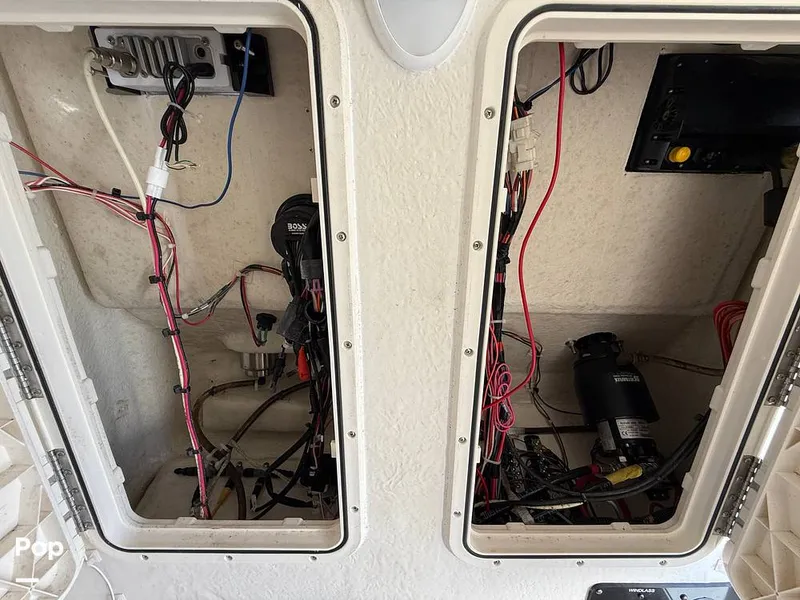 Slide: The Image of Sailfish 242 CC 2023 - 15369901