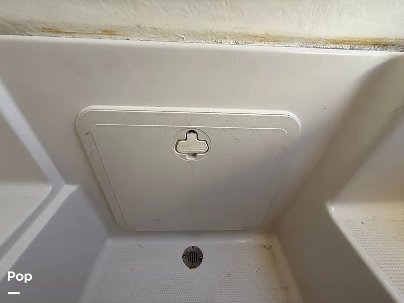 Slide: The Image of Sailfish 242 CC 2023 - 15369902