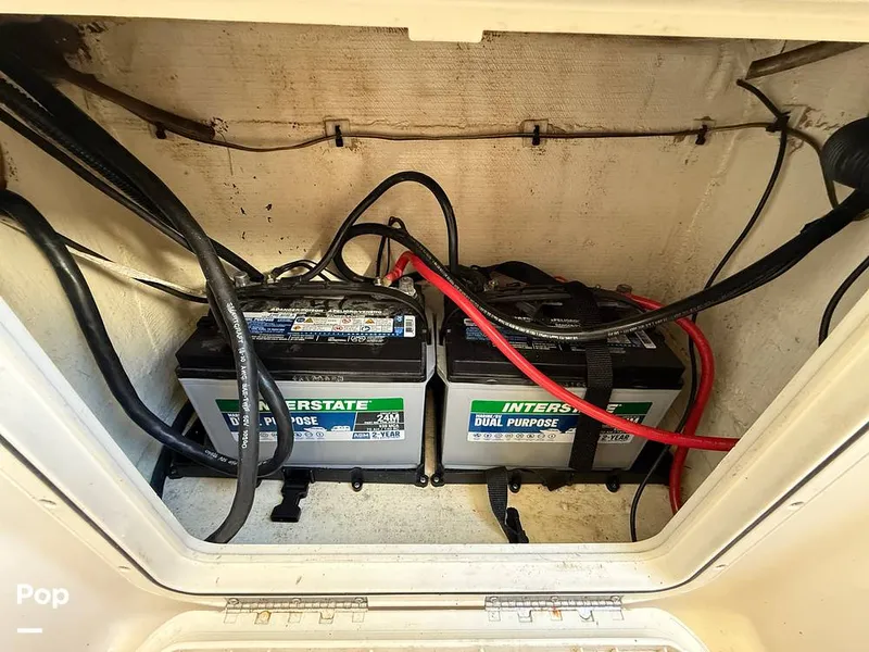 Slide: The Image of Sailfish 242 CC 2023 - 15369903