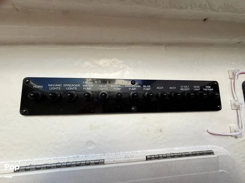 Slide: The Image of Sailfish 242 CC 2023 - 15369905