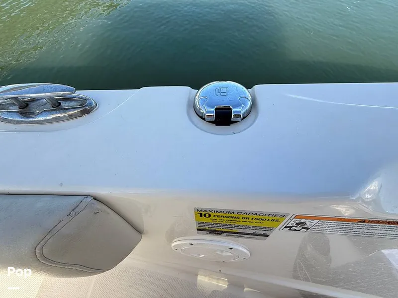 Slide: The Image of Sailfish 242 CC 2023 - 15369906