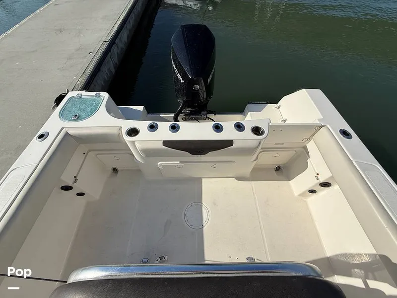 Slide: The Image of Sailfish 242 CC 2023 - 15369908