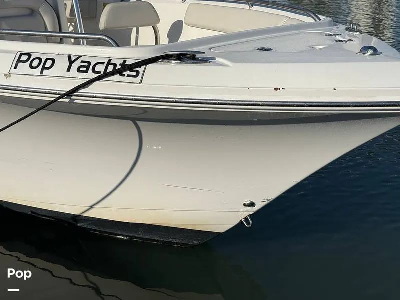 Slide: The Image of Sailfish 242 CC 2023 - 15369910