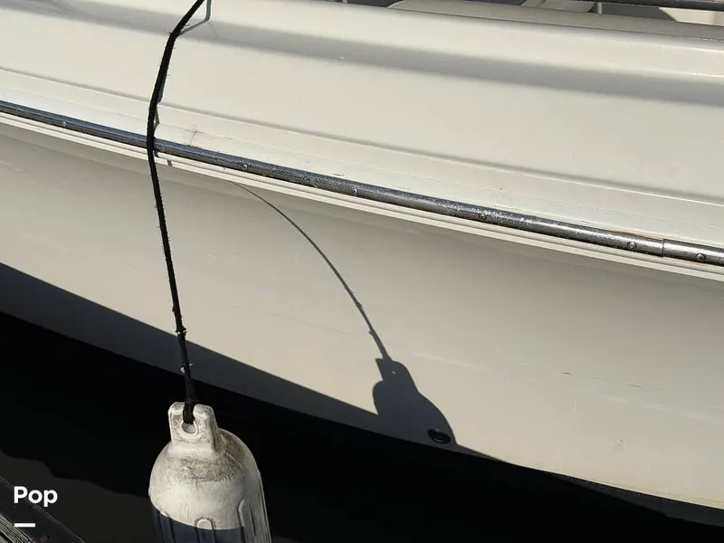 Slide: The Image of Sailfish 242 CC 2023 - 15369912