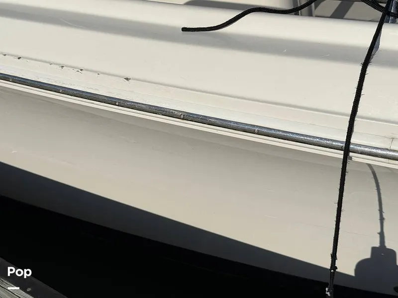 Slide: The Image of Sailfish 242 CC 2023 - 15369913