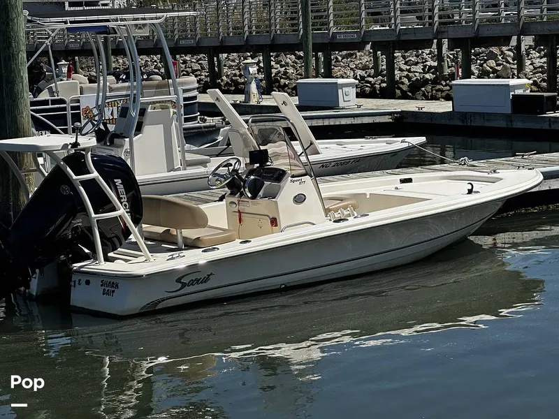 The Image of Scout Sport 177 CC 2022 - 15292899