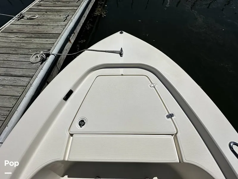 Slide: The Image of Scout Sport 177 CC 2022 - 15292848