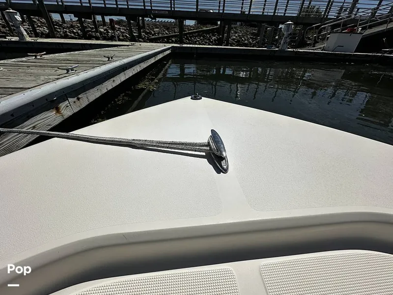 Slide: The Image of Scout Sport 177 CC 2022 - 15292851