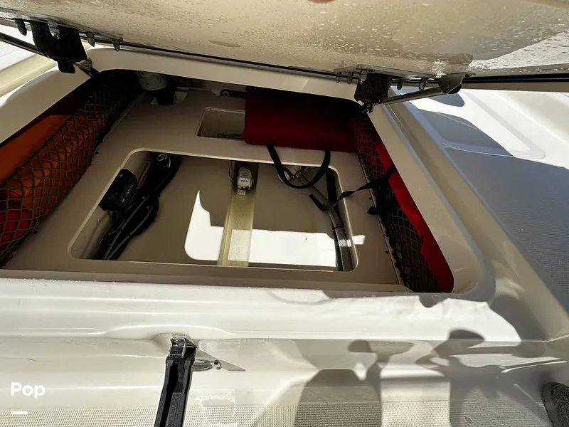 Slide: The Image of Scout Sport 177 CC 2022 - 15292870