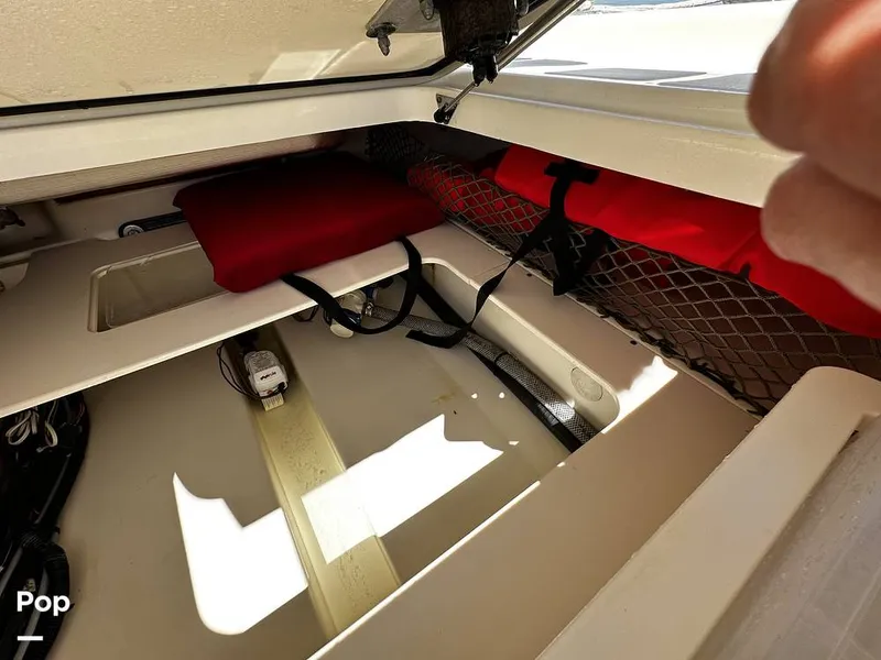 Slide: The Image of Scout Sport 177 CC 2022 - 15292873